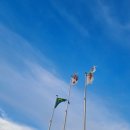 노을지는농장 이미지