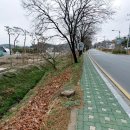 대전금탑