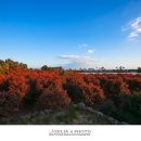 동백호텔 이미지