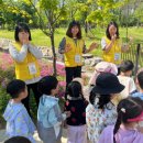 동탄호수유치원 이미지