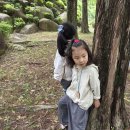 [5월3주] 다정반 화명수목원 숲체험(샘터)🐛 이미지