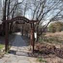 탄동천-2 이미지