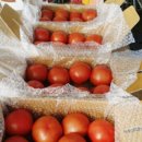 역말농장 이미지