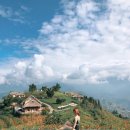 에콜로지 이미지