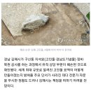 문화재청 &#34;김해 고인돌 상당 부분 훼손 확인…김해시장 고발 이미지