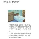 오사카분식