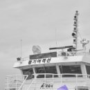 섬속의섬 청보리축제 중~!가파도섬투어 이미지