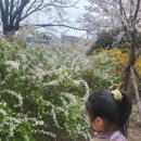 삼락강변공원 이미지