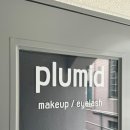 플러미드 Plumid