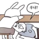 메이쥬 이미지
