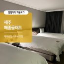 제주공항 가까운 호텔 메종글래드 프리미엄트리플룸