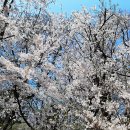 은혜병원 이미지