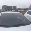 부산 기장] 기장혼 국보미역 엄지 척~!