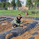 희망영농 이미지