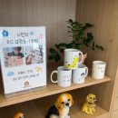 평거동9 | 진주 평거동 카페 그림속상점 &amp; 포토머그컵 후기