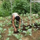 한국유기농업개발(주) 이미지