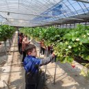 영주동부초등학교 이미지