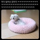 커피도큐먼트
