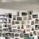 데일리로그감성사진관 | [내돈내산] 명절맞이 대가족 사진 찍기 프로젝트 (전주/완주 데일리로그감성사진관)