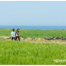 (주)청보리 이미지