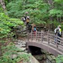 숲해설체험 이미지