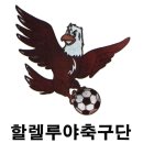 [벨빙스포츠] 한국 프로축구 팀 변천사~1편