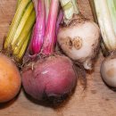 허한의원 이미지