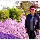 지리산나들이농원 이미지