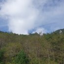 석탄(중석) 이미지