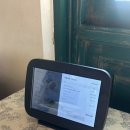 포시즌 봄 | 판교 맛집, 포시즌키친 판교시흥점 뚝배기 파스타 마르게리따 먹어봄(주차,내부,맛후기)