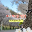 다사 박곡 네이버블로그