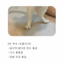 닭발천하 - 안산시 상록구 도매시장로2길 5 | 닭발천하
