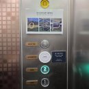 용암천2 | [남양주 별내 대형카페] 용암천 뷰와 샹들리에 감성 가득 ‘로얄드벨’ 후기