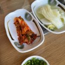 시험관 시술과정15 l 동결2차 배아이식 후기 (자연주기요법, 5일배아 동결이식,일산마리아의원 시험관)