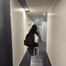 건강나라사슴목장 | [뉴질랜드 신혼여행] Day 4: 남섬 이동, Apex 렌트카, 버거퓨엘, 울월스, 에어비앤비 숙소, 뉴질랜드...