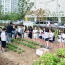 배곧한울초등학교 이미지