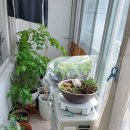 내곡동469 이미지