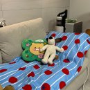 진프린팅 - 군포시 | 다이소 비치타올 특대형 여름 휴가 용품 추천템 프린팅 넘 귀여움!!
