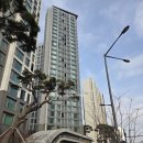 세븐일레븐 뉴송파거여점 | 송파시그니처롯데캐슬 임장 (거여2-1구역 재개발)