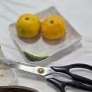 속초 시내 단풍 상황 속초해수욕장 막국수 오션뷰 카페