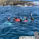 제주스쿠버아카데미 이미지