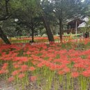 거창-북상-3 이미지