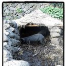 광양/시민회관방면 (시민회관방면) 이미지