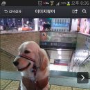로씨일가