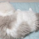 한성운수 주식회사
