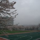 광주동성여자중학교 이미지