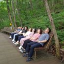 힐링랜드 이미지