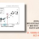 장기비타민약국 이미지