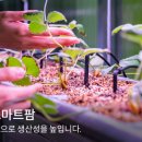 우성프로세스 이미지