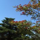 산일민박 티스토리